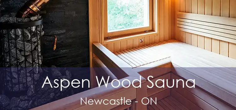  Aspen Wood Sauna Newcastle - ON