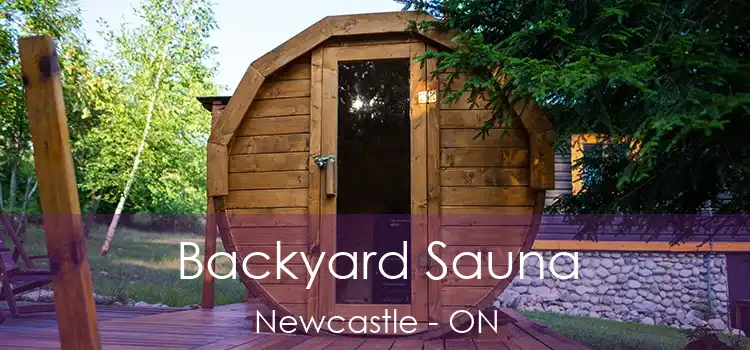  Backyard Sauna Newcastle - ON
