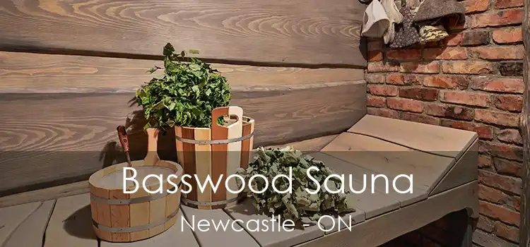  Basswood Sauna Newcastle - ON
