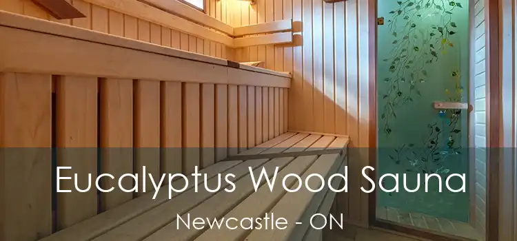  Eucalyptus Wood Sauna Newcastle - ON