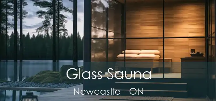  Glass Sauna Newcastle - ON