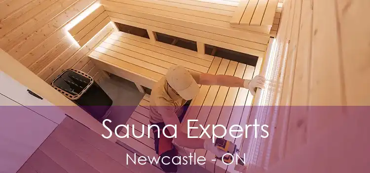  Sauna Experts Newcastle - ON