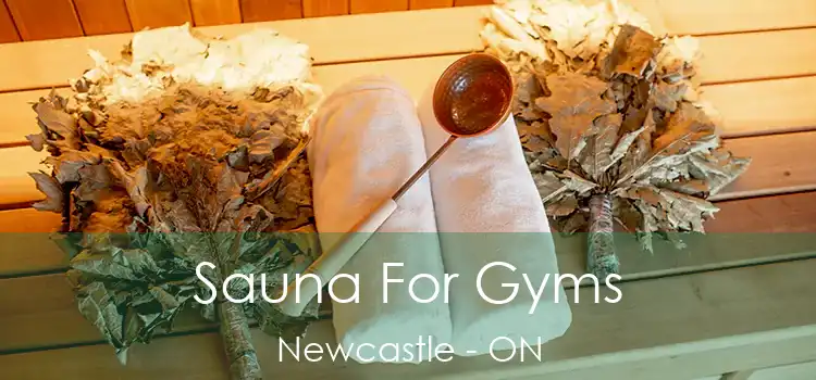  Sauna For Gyms Newcastle - ON