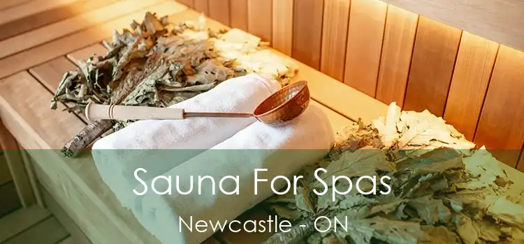  Sauna For Spas Newcastle - ON