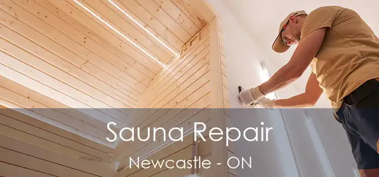  Sauna Repair Newcastle - ON