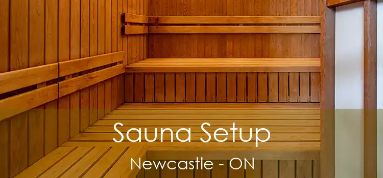  Sauna Setup Newcastle - ON