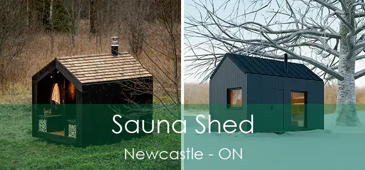  Sauna Shed Newcastle - ON