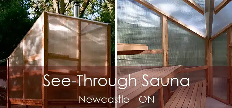  See-Through Sauna Newcastle - ON